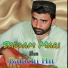 Saddam Marri