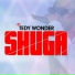 Tedywonder