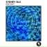 Sydney Blu