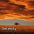 Audio Infinity, Stereo Nuts, Scabrous Cat
