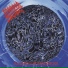 Morbid Angel