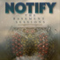 Notify, Padraig Rynne