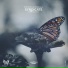 Chillhop Records