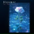 Bloomer