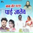 Sanat Gilhare, Pooja Mehra
