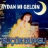 Küçük Duygu