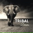 African Tribal Drums