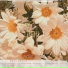 Jung Woong Sik, Seo Juyeon
