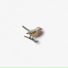 Kishi Bashi