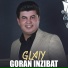 Goran Inzibat