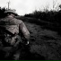 Роман Волков