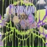 ssspringvoid