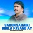 Irshad Hussain Sanjrani