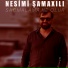 Nesimi Şamaxılı
