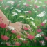 MyceliumBug, ilostmypick