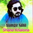 Alamgir Sahil