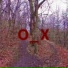 Shanewix, CVRXWD