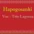 Trio Lagoma
