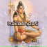 Kashh