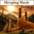 Sleeping Music Oriental Guru