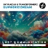 SkyRaid UK, TranceFormerz
