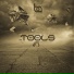 Mr Tools