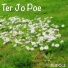 POPOLE