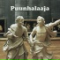Puunhalaaja