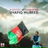 Shafiq Mureed