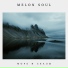 Melon Soul
