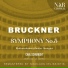 Radiosinfonieorchester Stuttgart, Carl Schuricht