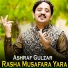 Ashraf Gulzar