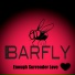 Mr.Barfly
