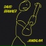 David Brawner