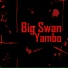 Big Swan
