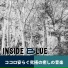 Inside Blue