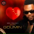 Mix Premier