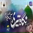 Ameer Hamza