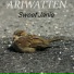 Ariwatten