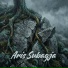 Aris Subagja