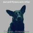 высший Музыка для собак