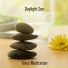 Torus Meditation