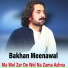 Bakhan Meenawal