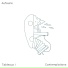 AUFAUNE