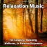 Calm Music, Relaxing Music, Yoga
