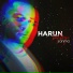 Harun Batıbeyi