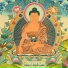 Pema Wangdi Lama