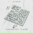 DiGeN
