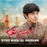 Syed Wasi ul Hassan