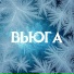 Dj BOYKO, KATY GLEBOVA